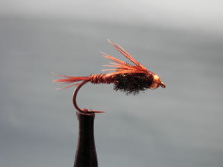 Bead Head Pheasant Tail (10-20)